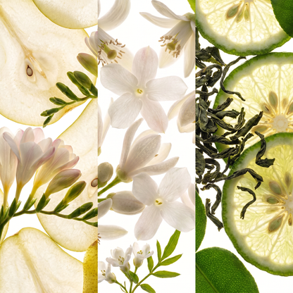 Three scent inspirations for 366 Bloom: Wild Pear & Freesia, Jasmine & Neroli, and Green Tea & Bergamot | Memoré